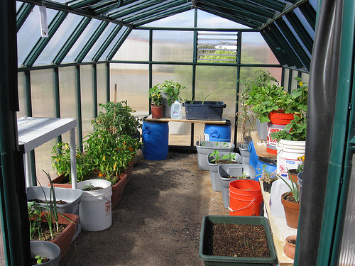 greenhouse