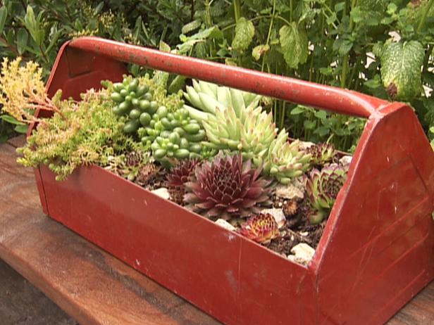 Upcycling in the garden